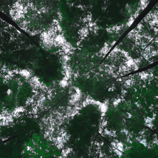 Ban Ramah Lingkungan: Pilihan Tepat untuk Masa Depan yang Lebih Hijau