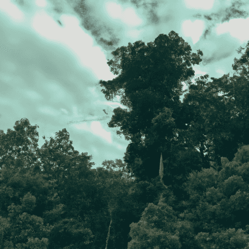 Panduan Lengkap Perawatan Ban Musim Hujan untuk Hindari Kecelakaan